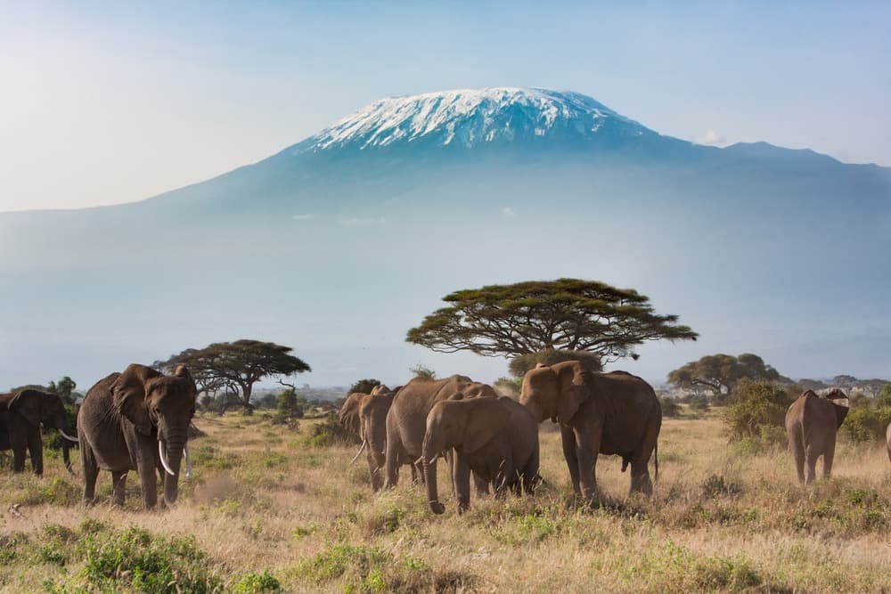 Il Parco Nazionale di Amboseli